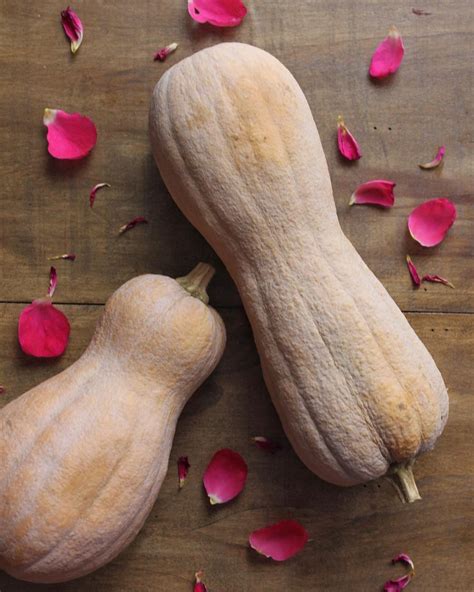 Maybe you would like to learn more about one of these? Come Pulire la Zucca: Trucco Facile e Veloce