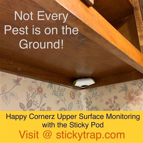 Unlike some other pests, roaches can be incredibly difficult to eliminate without the help of a professional. DIY Upper Surface Monitoring for Roaches, Ants, Spiders ...