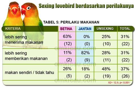 Baiklah, langsung saja simak artikel menarik tentang bagaimana cara membedakan ikan cupang jantan dengan ikan cupang betina.? Sexing lovebird berdasarkan perbedaan perilaku | OM KICAU