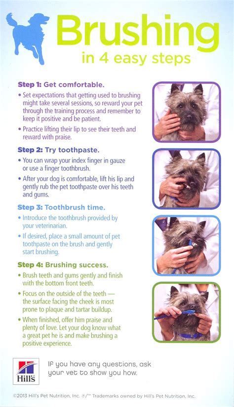 Sometimes though due to special periodontal conditions in the oral cavity. How to brush your dog's teeth :-) #petdental | Dog care ...