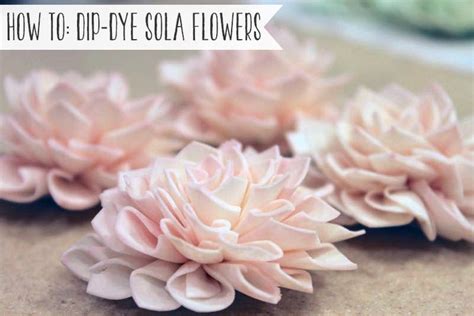 Pick your product and select the size, color and quantity and then add it to the bag. How To: Dip Dye Sola Flowers | Sola flowers, Sola wood ...