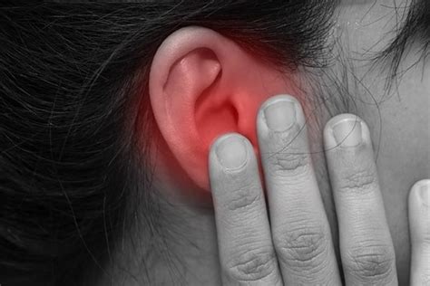 หูดับ หูดับเฉียบพลัน หรือ หูตึงเฉียบพลัน คือ ภาวะที่ผู้ป่วยสูญเสียการได้ยินอย่างเฉียบพลันหรือประสาทหูเสื่อมอย่าง. โรคไข้หูดับ streptococcus suis หูดับ เพราะกินหมูดิบ