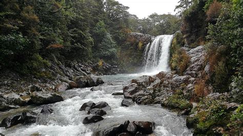 I am proud to call these people my. NEW ZEALAND ROAD TRIP GOLLUM'S POOL - YouTube