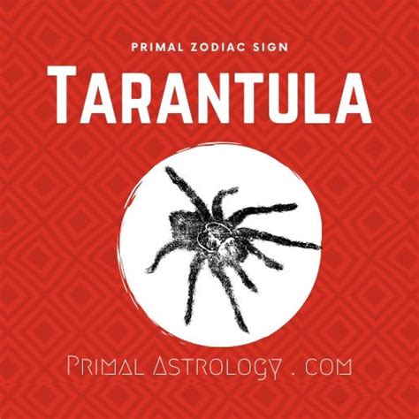 Astrology's modern representation in western popular media is usually reduced to sun sign astrology, which considers only the zodiac sign of the sun at an individual's date of birth, and represents only 1/12 of the total chart. Primal Astrology - Spirit of the Tarantula