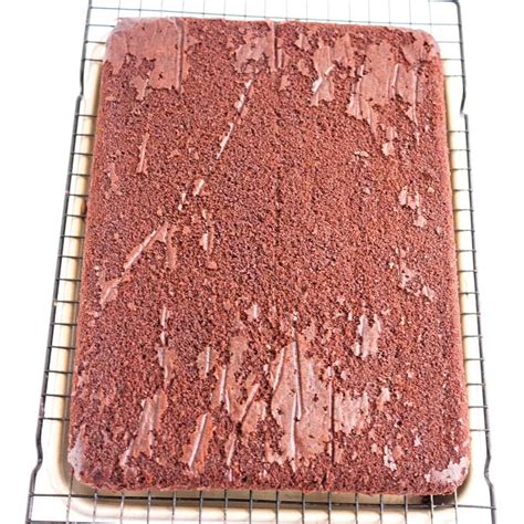 · this recipe makes one tall 9 inch inch cake. Big Cake Rectangular : Birthday Cakes : Square/rectangular ...