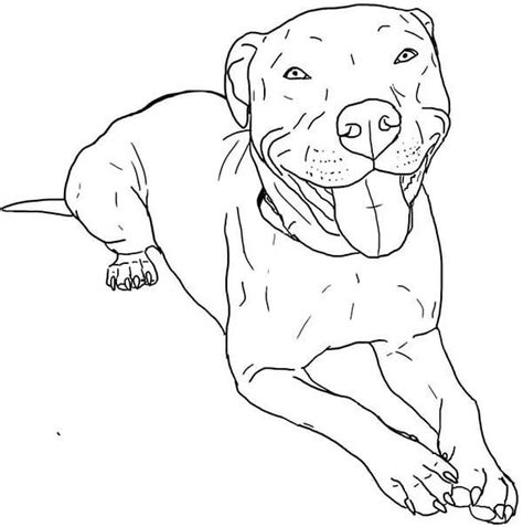 Get pitbull coloring pages dogs for quick. Realistic Dog Coloring Pages in 2020 | Pitbull art, Dog ...