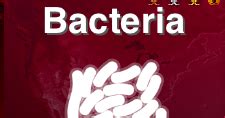 This guide is heavily inspired and influenced by barry bmcc mccockinner's ultimate bacteria guide who clearly understands the ins and outs of plague inc: Yo It's Spicy: Plague Inc. Bacteria Mega-Brutal Guide ...