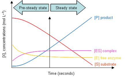 It is used to simplify the analysis of the kinetics of consecutive reacitons, which involve a reactive intermediate. IGEM:IMPERIAL/2007/Projects/Modelling/Tutorial - OpenWetWare