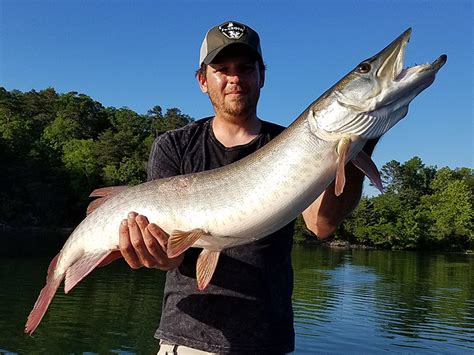 They typically live in the ocean. Fishing - Explore Oak Ridge