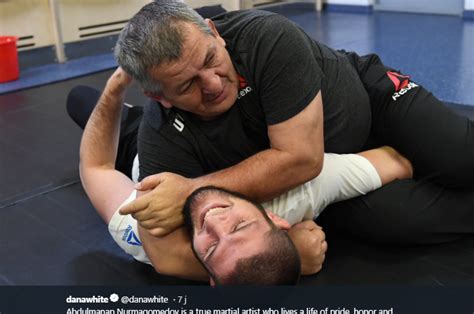 Akhir sebuah impian is on facebook. Hingga Akhir Hayatnya, Duel Impian Ayah Khabib Belum ...