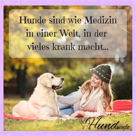 Dogs have a way of finding the people who need them and filling an emptiness we didn't ever know we had. sind Medizin | Retriever hund, Hunde und Hundesprüche