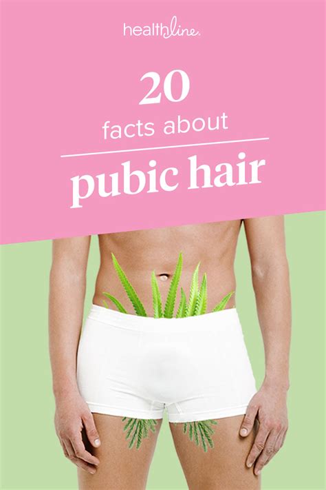 If you only intend to trim (and not shave) your pubic hair, you can use a higher guard setting, if desired. Should women shave their pubic hair.