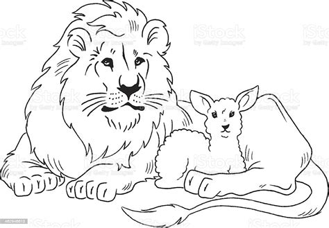 Black and white sheep drawing. Lion And Lamb Stock Illustration - Download Image Now - iStock