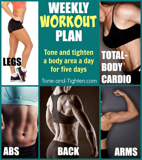 The full body workout routine ive put together below is set up to take the role of stabilizer and assistor muscles into account. Weekly Workout Plan - Tone and tighten your whole body ...