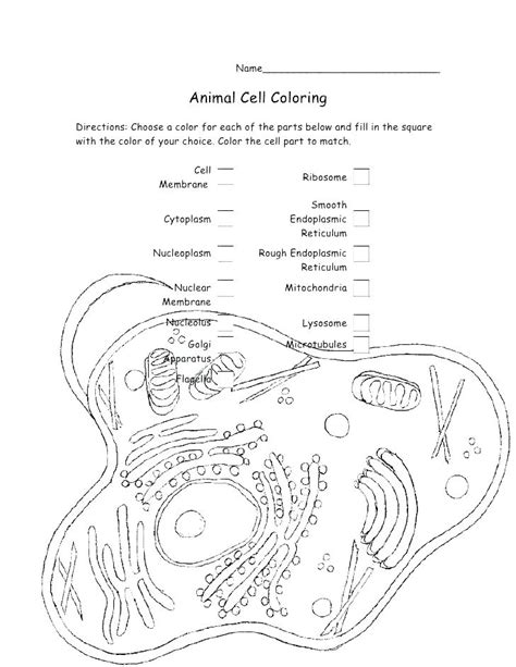 Human cell coloring page | free printable coloring pages. Biology Coloring Pages at GetColorings.com | Free ...