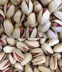 Dry nuts like cashew nuts, almonds and raisins. pistachio wholesale malaysia - TGD Pistachio Company ...