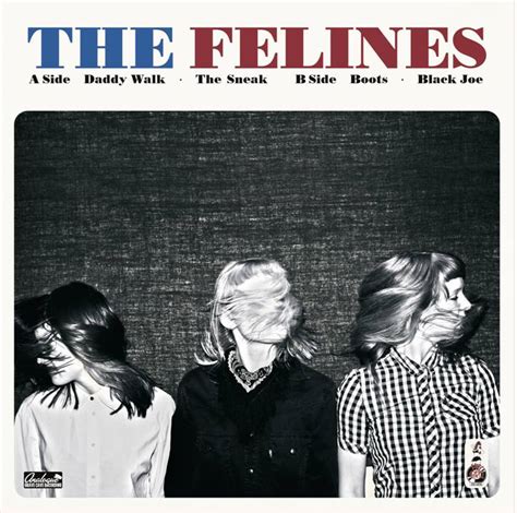 Not as simple as a fusion of 60's garage rock and late 70's punk rock, it incorporates everything from black rhythm'n'blues to 80's power pop into a generally minimal rock sound that relies on spontaneity over instrumental ability. garage punk ruins my life: THE FELINES - Daddy Walk