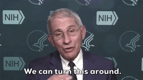The us dollar is a meme currency … lynette zang: Fauci GIF by GIPHY News - Find & Share on GIPHY