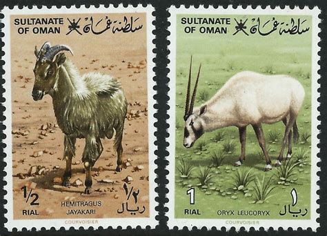 Sir bani yas is home to many animals that the international union for conservation of nature classifies as critically endangered or vulnerable, including sea turtles, sand gazelles, urial sheep, barbary sheep, and arabian tahr and oryx. OMAN - 1982 'ARABIAN TAHR & ORYX' Pair MNH [A3007 ...