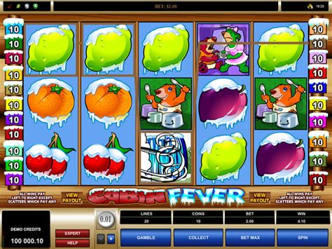 This game has some riddles. Cabin Fever Review - Play This Slot Game Online - Cabin ...