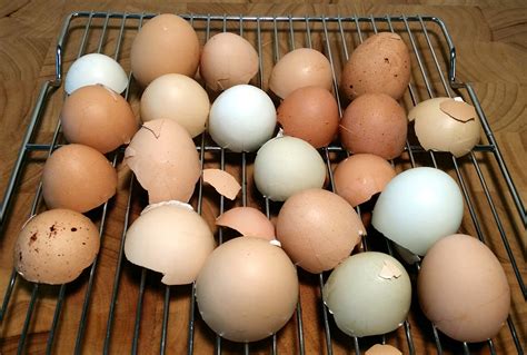 Preheat oven to 200 degrees fahrenheit. How to Make Eggshell Calcium Powder - The Zero-Waste Chef