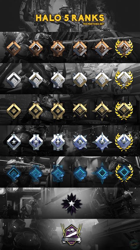 All the rank medals in one place (x-post from /r/halo) : CompetitiveHalo