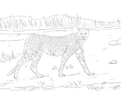 We did not find results for: Realistic Cheetah Coloring Pages at GetDrawings | Free ...