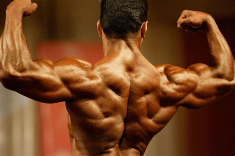 Home » best back muscles training exercises » back muscles anatomy bodybuilding. Workout of the Week: Back, Biceps & Abs…