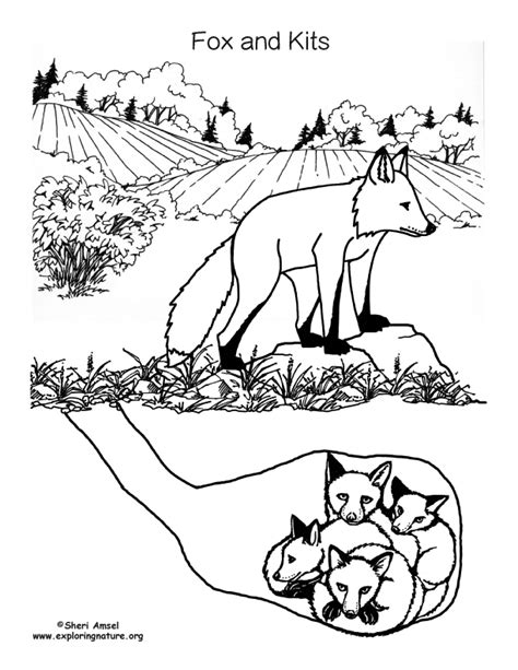 Fox and the hound drawings to color. Fox and Kits in Den Coloring Page