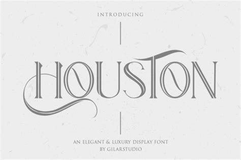 Font houston with the regular characteristic belongs to the houston font family. Houston Display Font Free - All Free Fonts