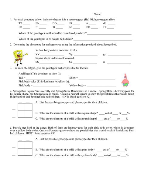 (a) give the possible genotypes and. spongebob: Spongebob Genetics Quiz Answer Key