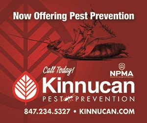 A pest issue on your property can wreak havoc if action isn't taken. Kinnucan Company | Landscape Design/Contracting ...