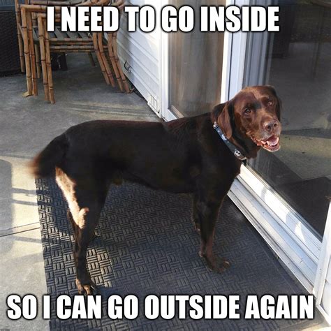 Check spelling or type a new query. I need to go inside, so I can go outside again | Animals ...