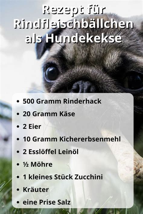 Getreide wird in der familie der gräser eingeordnet. Hundekekse selber backen: 6 tolle Rezepte ohne Getreide ...