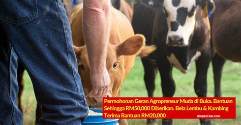 *updated on 1st february 2021. Permohonan Geran Agropreneur Muda Di Buka, Terima Bantuan ...