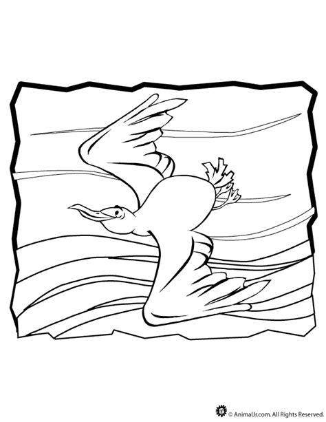 Color in this picture of a flying seagull and others with our library of online coloring pages. Seagull Coloring Page | Woo! Jr. Kids Activities