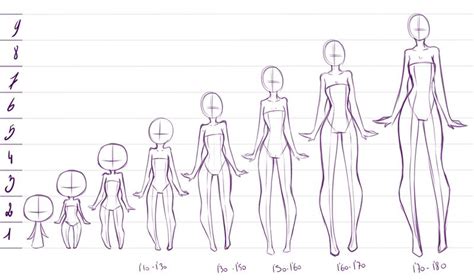 tutorial how to draw bodies for anime. 2 to 9 heads - MY LIKES ABOUT ANIME ANATOMY by rika-dono ...