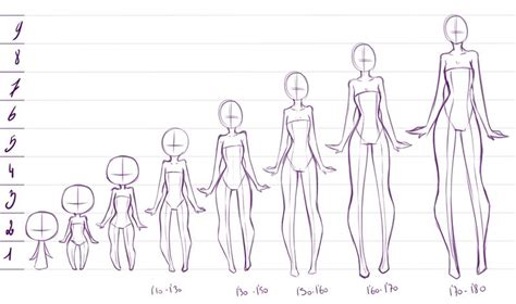 Anime whole body drawing tutorial male anatomy girl. 2 to 9 heads - MY LIKES ABOUT ANIME ANATOMY by rika-dono ...