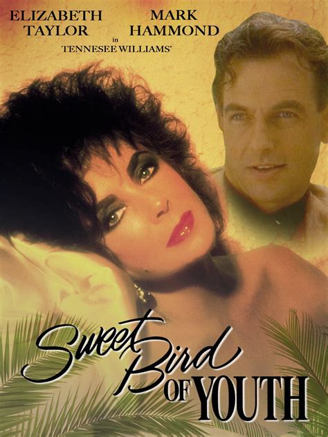 Check spelling or type a new query. Sweet Bird Of Youth 1989 | Elizabeth taylor, Hooray for ...