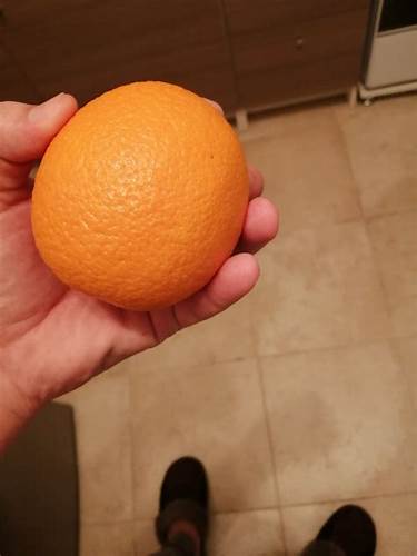 Диета апельсины яйцо