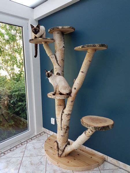 And i made a quick warrior cat maker in the side too! 15 Things To Avoid In Building A Custom Cat Tree, #Avoid # ...