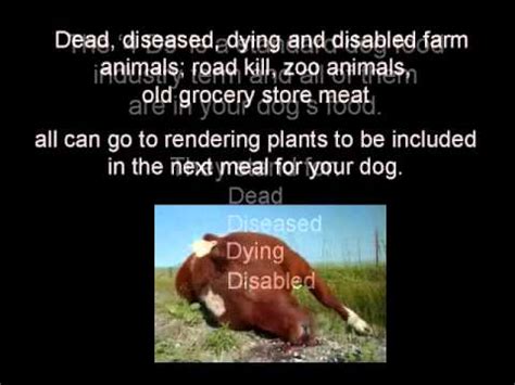 It comes in 4 flavors and the food is a rich source of vitamins and minerals. Commercial Dog Food Exposed - YouTube