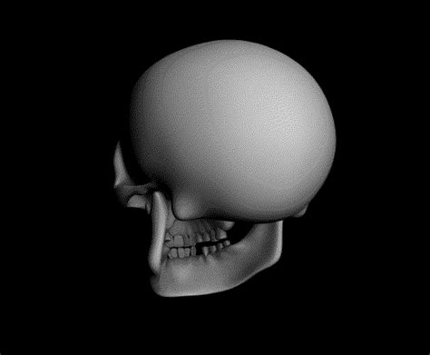 With tenor, maker of gif keyboard, add popular gif animated gifs to your conversations. 20 Great Skull Animated Gifs at Best Animations