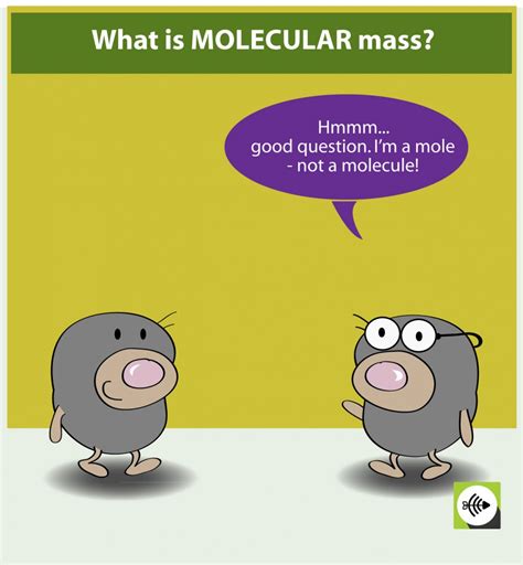 Every atom has its own unique relative atomic mass (ram) based on a standard comparison or relative scale e.g. What is Molecular Mass? - Surfguppy - Chemistry made easy ...