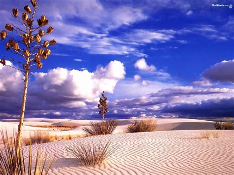 We did not find results for: nature - Mother Nature Wallpaper (249945) - Fanpop