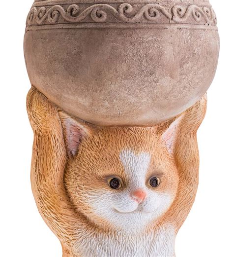 This plant is pretty robust and does well in dry, arid conditions. Cat Holding a Bowl Indoor/Outdoor Cast Resin Planter ...