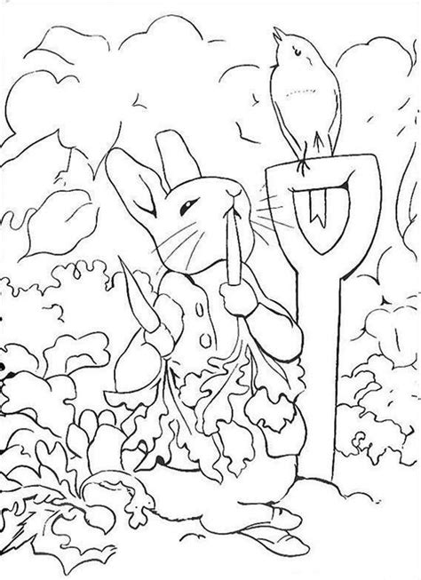 Boys usually are interested in cars, animated films, superheroes, planes. Peter Rabbit Coloring Pages Free - madalenoformaryland
