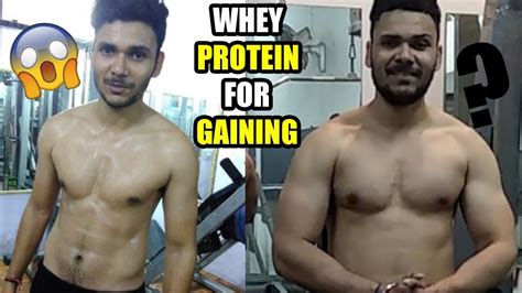 Make sure to see your doctor or a dietitian first to find out how much weight you need to gain, and gain weight slowly at a rate of 1 to 2 pounds per week. Can Whey Protein Powder Make You Gain Weight - ProteinWalls