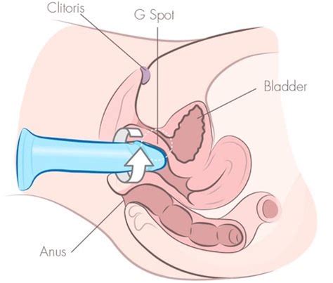 Similar searches to massage penis. Learn How To Use A Dildo For Maximum Self Pleasure