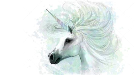 900+ vectors, stock photos & psd files. White Horn Unicorn In White Background HD Unicorn Wallpapers | HD Wallpapers | ID #52404